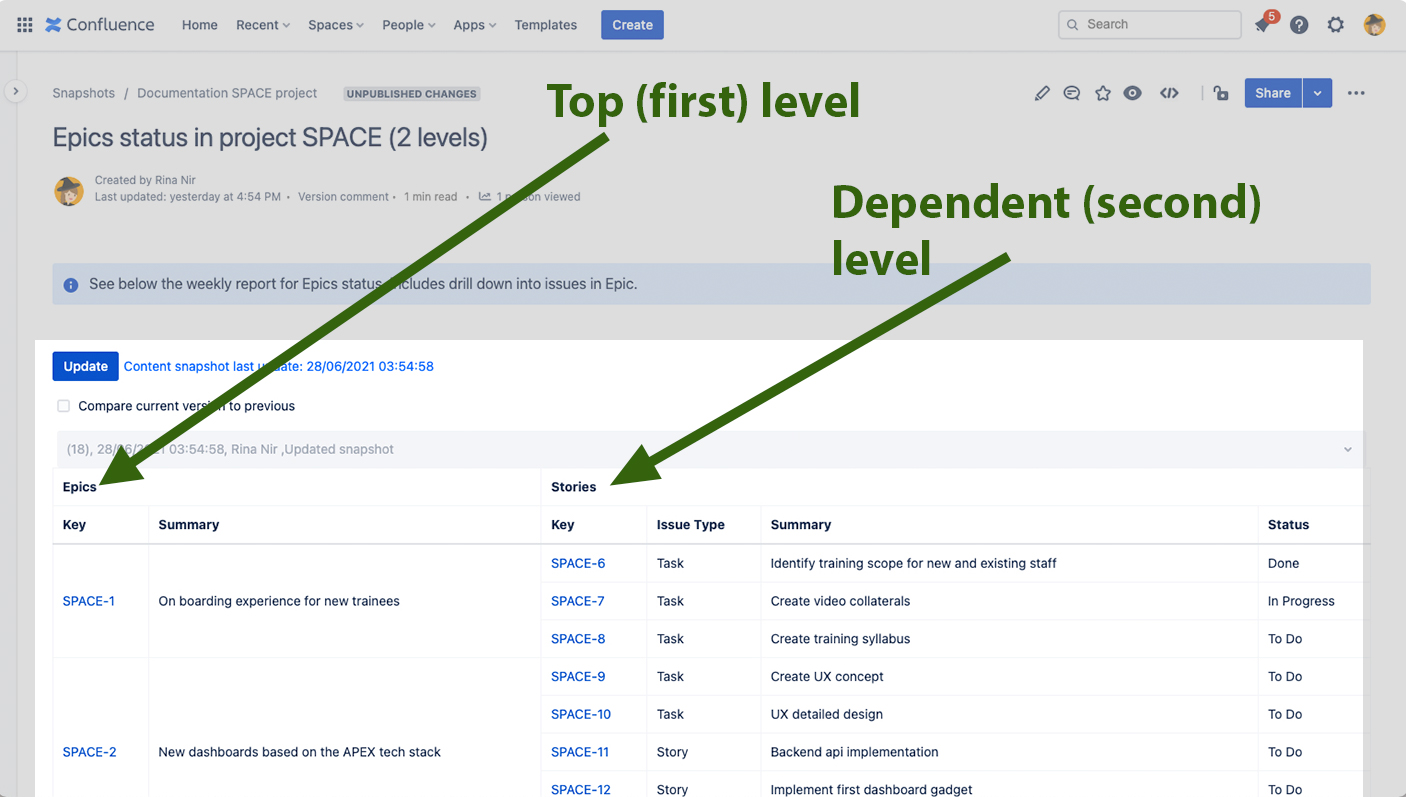 Jira snapshot with a 2 levels report